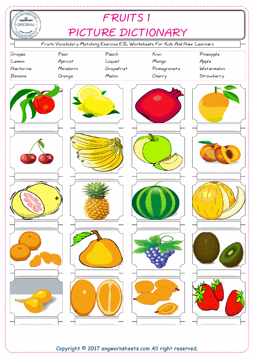  Fruits for Kids ESL Word Matching English Exercise Worksheet. 